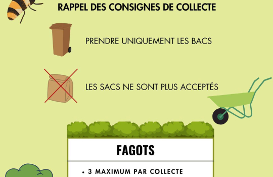  NOUVELLES MODALITÉS de collecte des végétaux en 2025 ! 