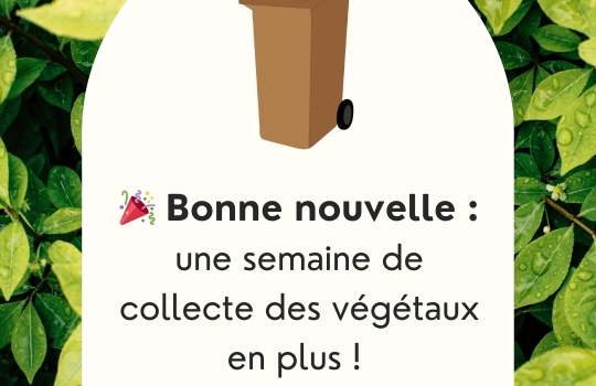 TRI ACTION | Prolongation de la collecte des déchets végétaux