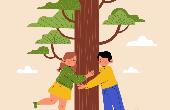 Ilot Fraicheur mars 2026