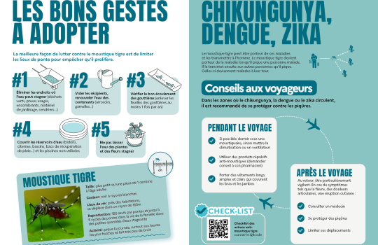 moustique tigre 2025