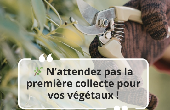 Collecte des déchets végétaux | Tri action