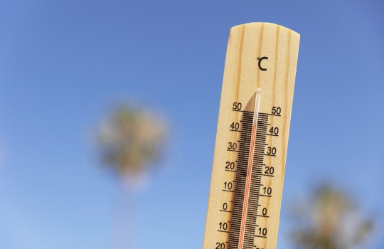 Fortes chaleurs - Canicule - Thermomètre