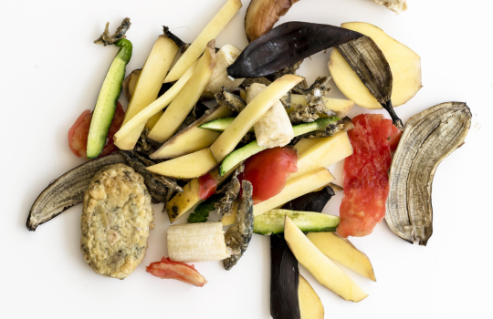 déchets alimentaires