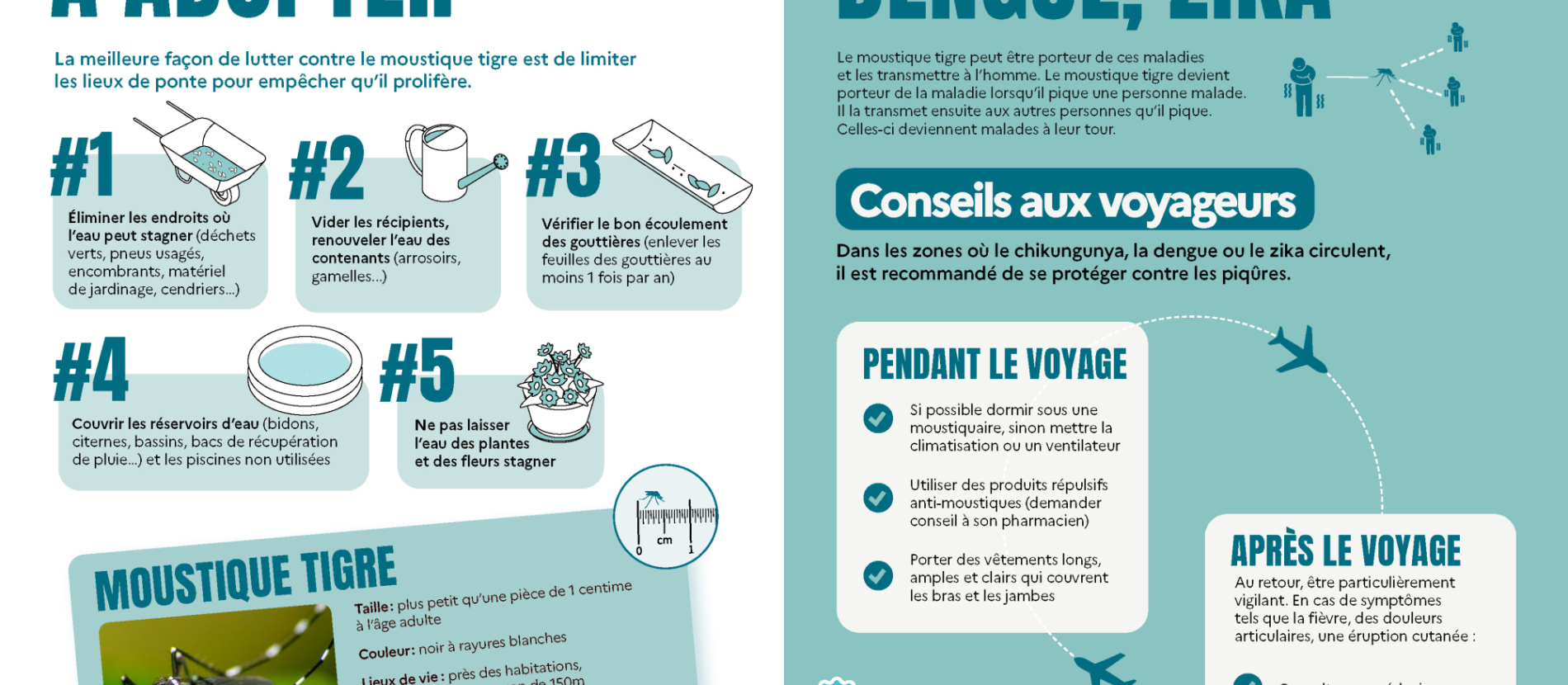 moustique tigre 2025