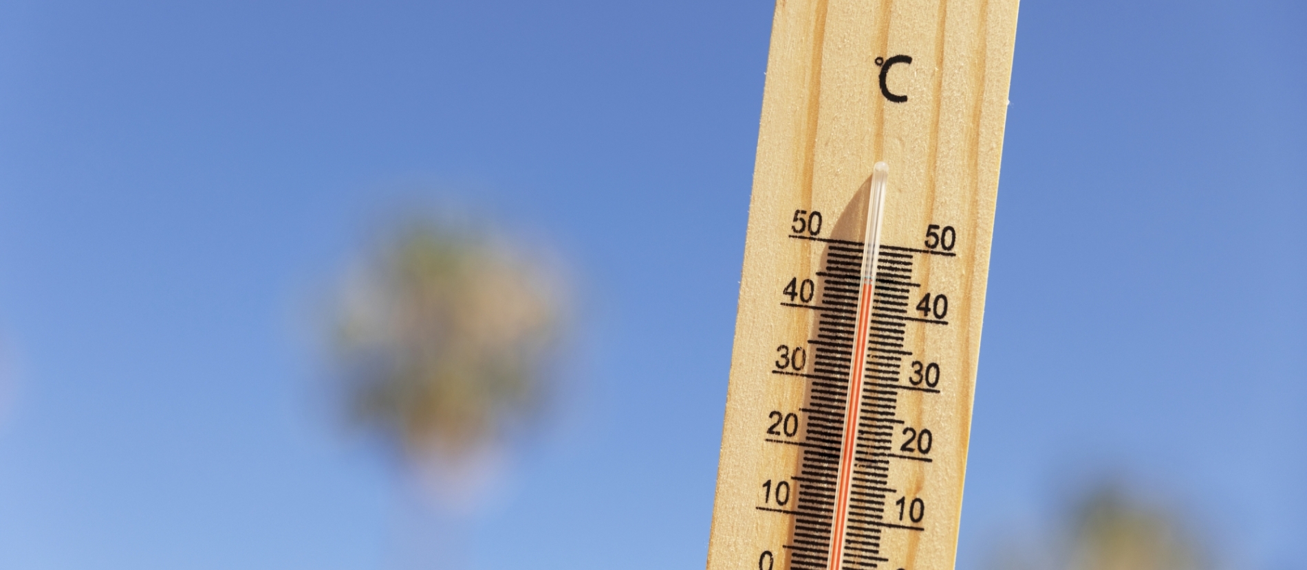 Fortes chaleurs - Canicule - Thermomètre