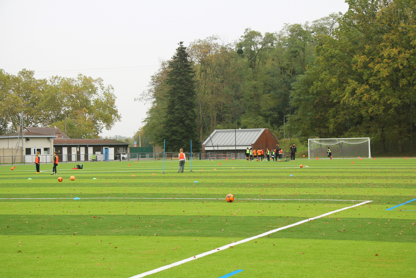 Terrain de football synthétique du Parc des sports