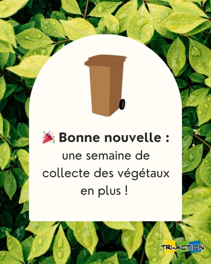 TRI ACTION | Prolongation de la collecte des déchets végétaux