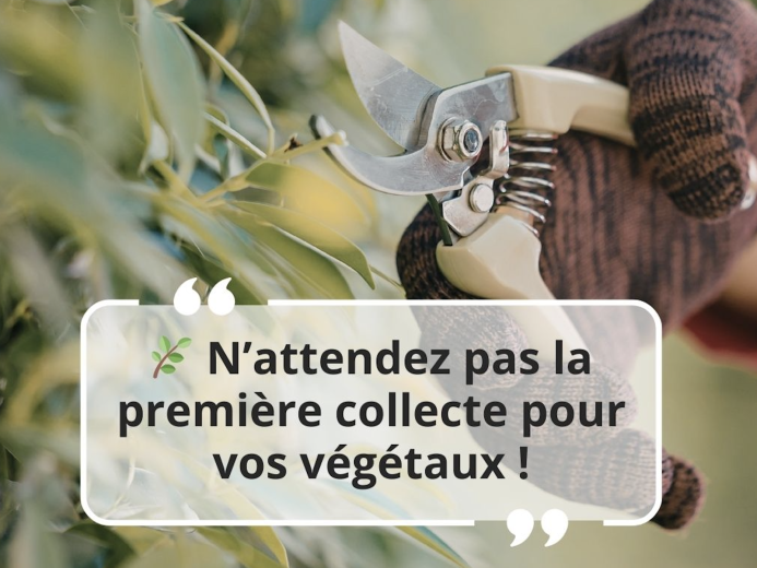 Collecte des déchets végétaux | Tri action