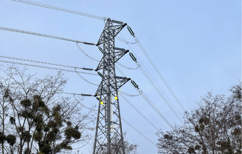 Création d'une antenne relais par Bouygues