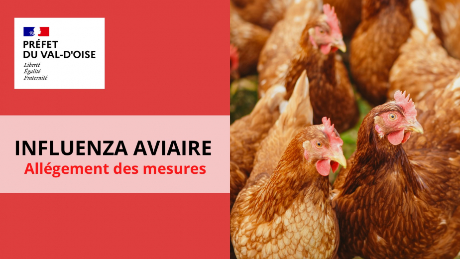 influenza aviaire / allègement des mesures