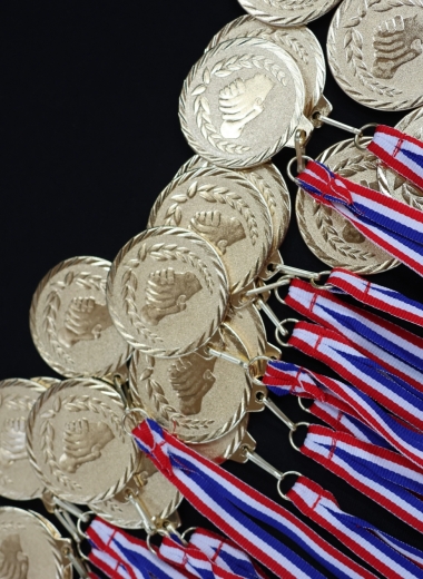 GALA DES SPORTS