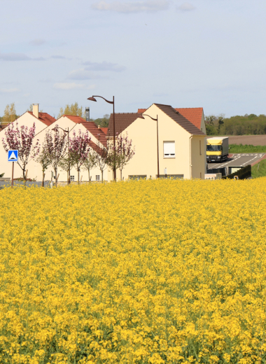 Photo de maisons et champ