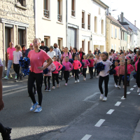 Octobre rose | Photos de la marche