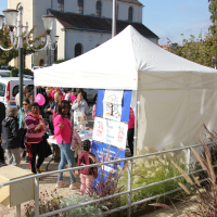 Octobre rose | Photos de la marche