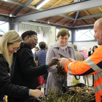 TROC AUX PLANTES | novembre 2025