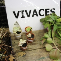 TROC AUX PLANTES | novembre 2025