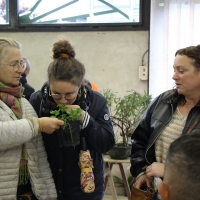 TROC AUX PLANTES | novembre 2025