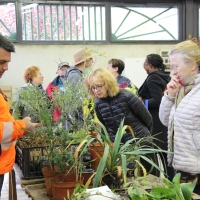 TROC AUX PLANTES | novembre 2025