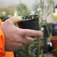 TROC AUX PLANTES | novembre 2025