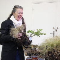 TROC AUX PLANTES | novembre 2025