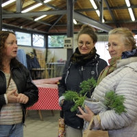 TROC AUX PLANTES | novembre 2025