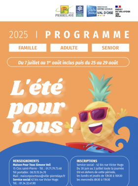 programme de l'été du social